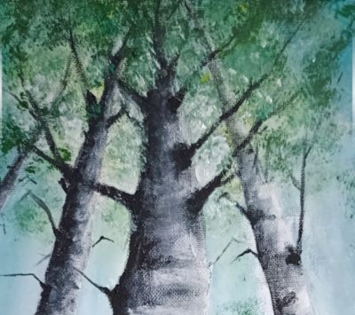Queen of the forest