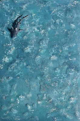 Lone Current