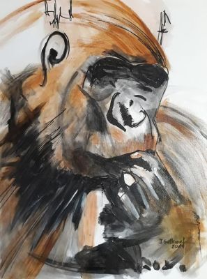 Gorilla