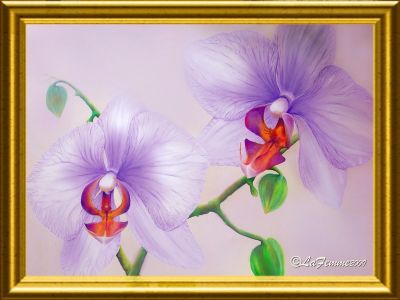 Orchideen