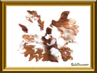 Muse I