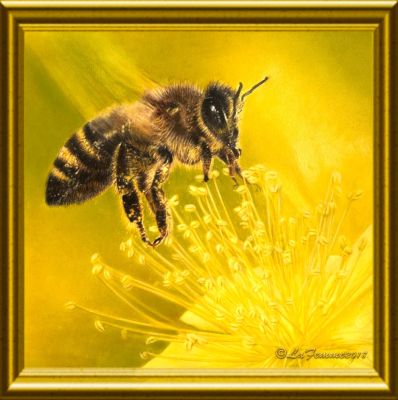 Save The Bees I