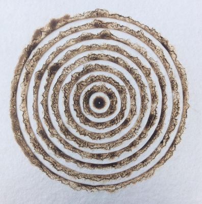 Feuerkranz