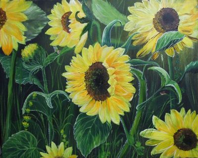 Sonnenblumenfeld