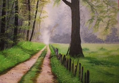 " Sommer am Niederrhein"