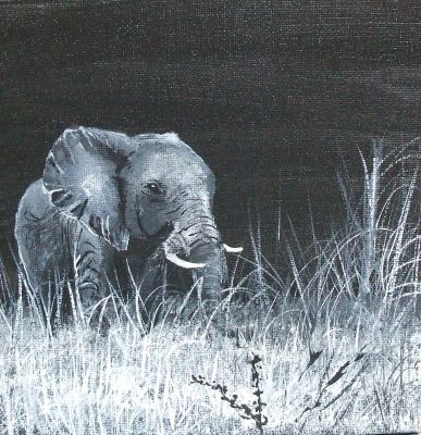 kleiner-elefant