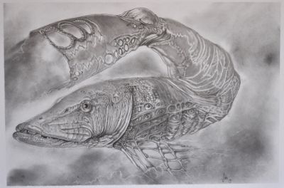 FISCH