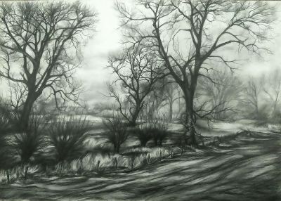 Rheinaue 