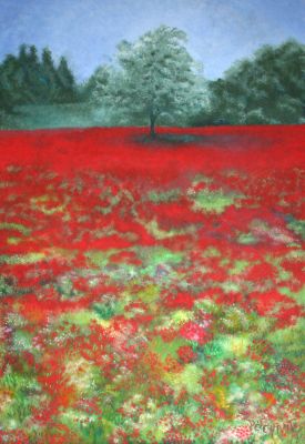 mohnblumen33