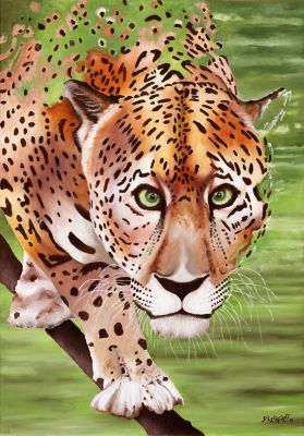 Der Gepard