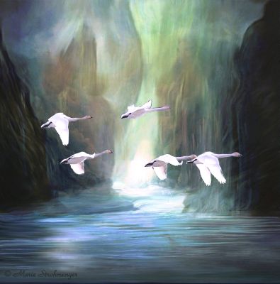 Fly and catch the wind