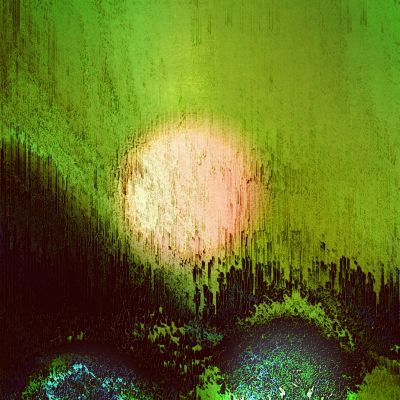 Sunset over the Forest 
