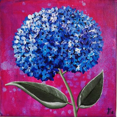 little-blue-hydreanga-