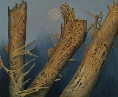 three-tree-trunks