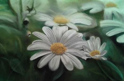 Margeriten