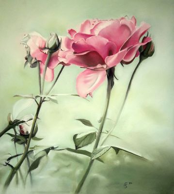 Rosen