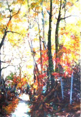 Waldweg mit Zaun