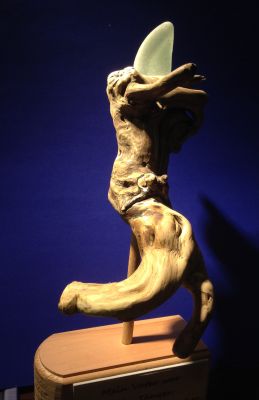 Tänzer