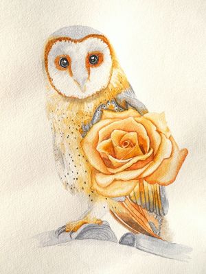 Die kleine Eule