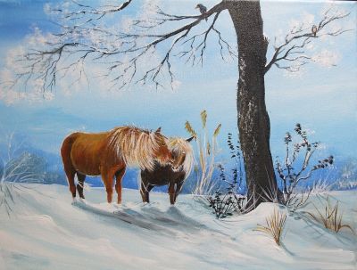 Eifelponys