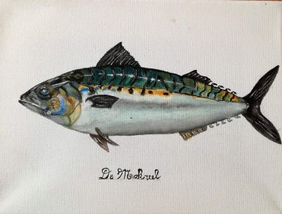 De Makreel