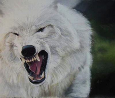 Polarwolf