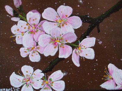 " Apfelblüte"