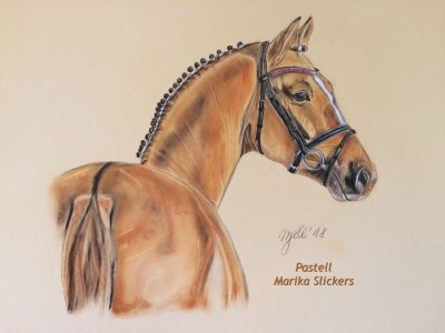 Reitpony