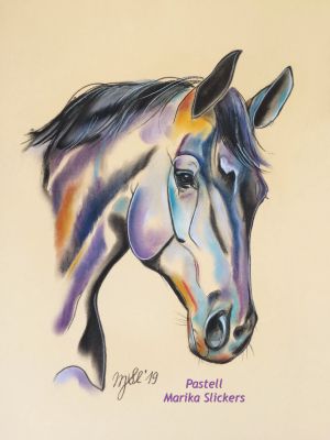 Belgisches Warmblutpferd