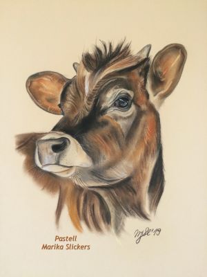 Jersey Kalb