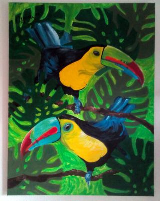 toucans-of-the-amazon