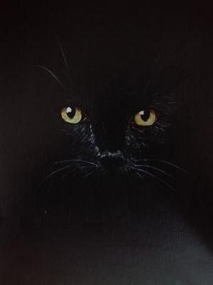 " Katzenblick"