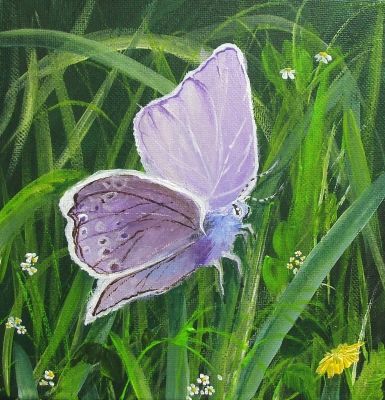 Der Kleine Schmetterling