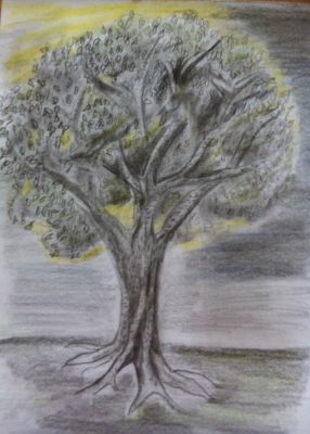 stille7