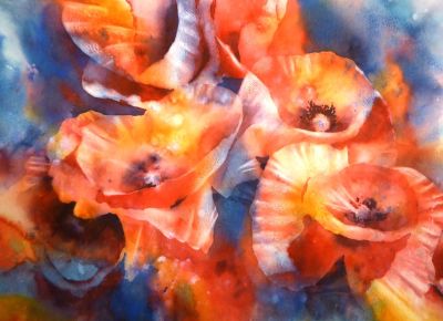 Time for poppies