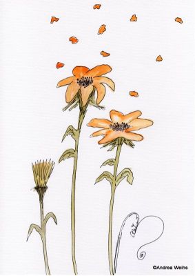 Gerbera