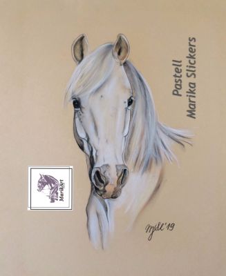 Welsh-B Pony