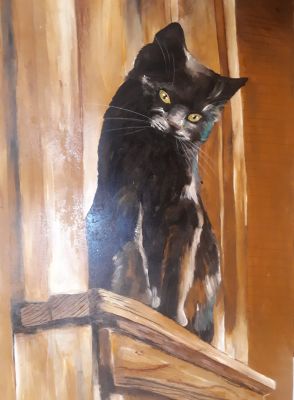 black-cat-on-the-roof