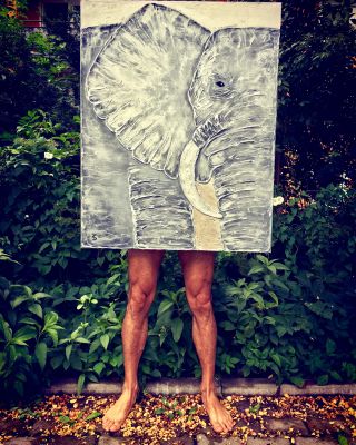 elefant-