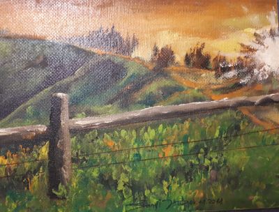 Landschaft im Sonnenlicht 