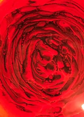 The red Rose