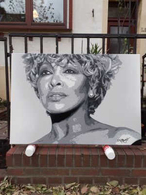 Tina Turner - look