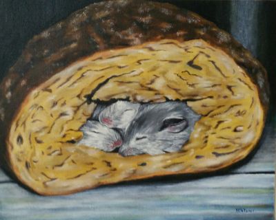 bed & breakfast 