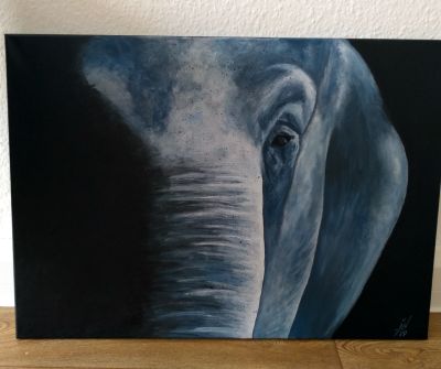 Elefant 