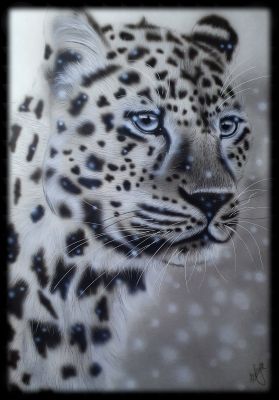 'Leo in snow'