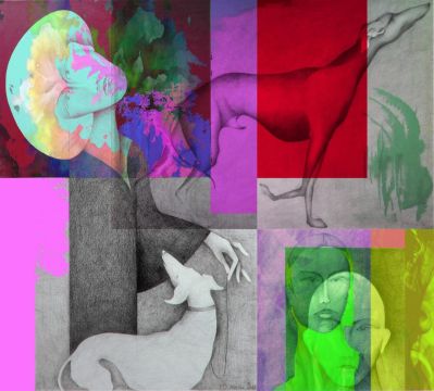 image-008c-1