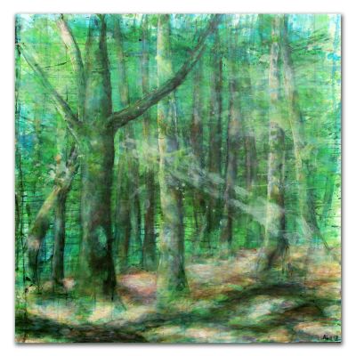 forest-wisdom
