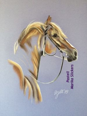 pferd