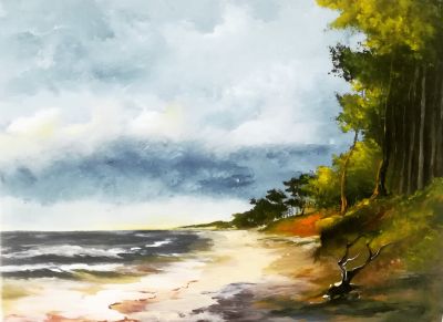 am-strand3