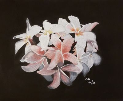 Wildblumen